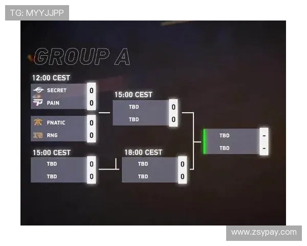 RNG在Major赛中的技术表现分析与战术解读 RNG在Major赛中的技术表现分析与战术解读