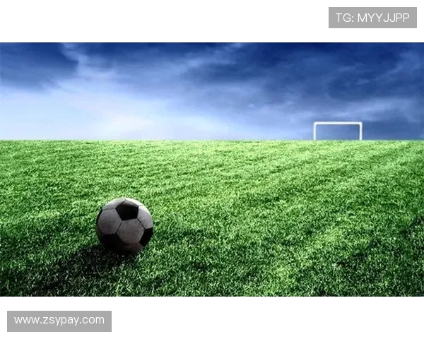 北京足球队精英赛表现分析团队协作的力量与不足 北京足球队精英赛表现分析团队协作的力量与不足