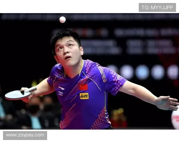 南京乒乓球队心理素质排名第一的十个关键因素分析 南京乒乓球队心理素质排名第一的十个关键因素分析